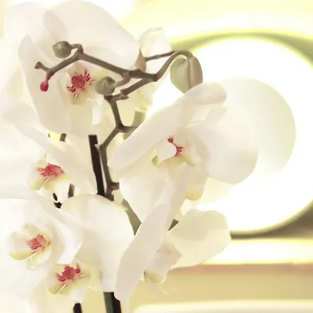 公寓 Fleur De Lis Loft